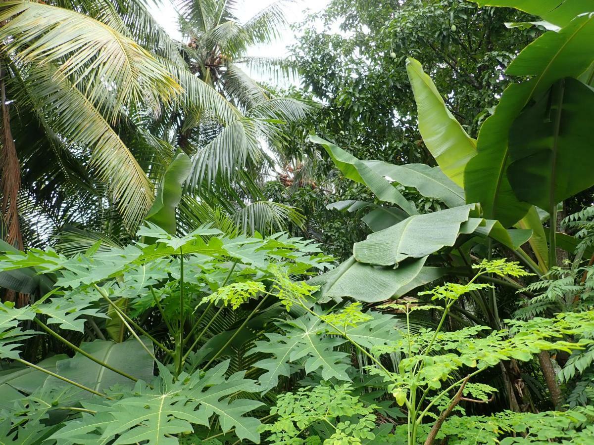 Fuvahmulah Inn Exteriör bild