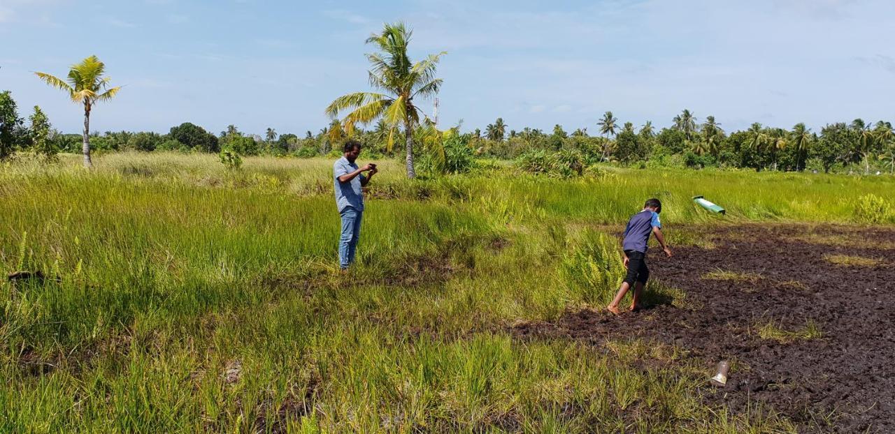 Fuvahmulah Inn Exteriör bild